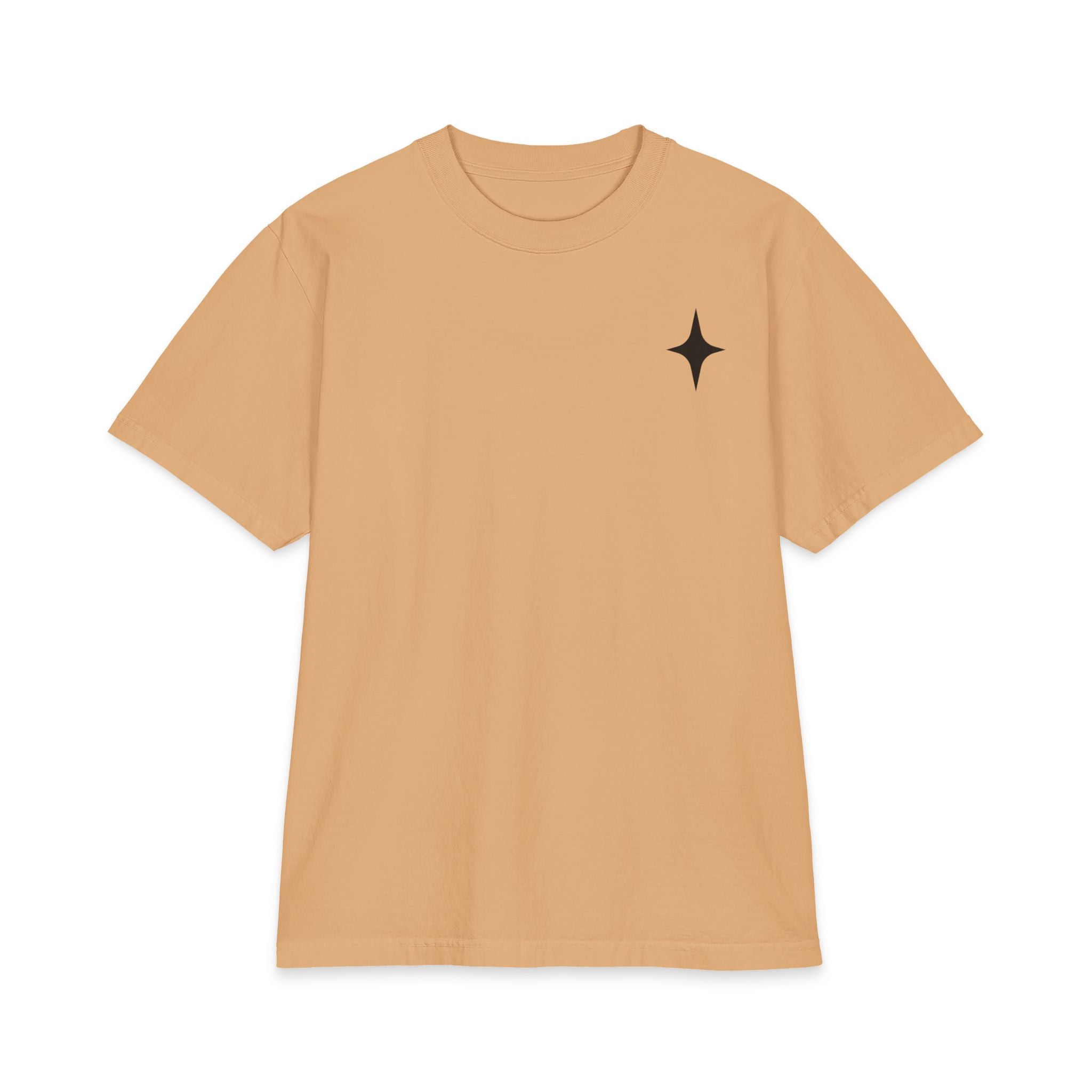TEE SHIRT TAKE THE RISK