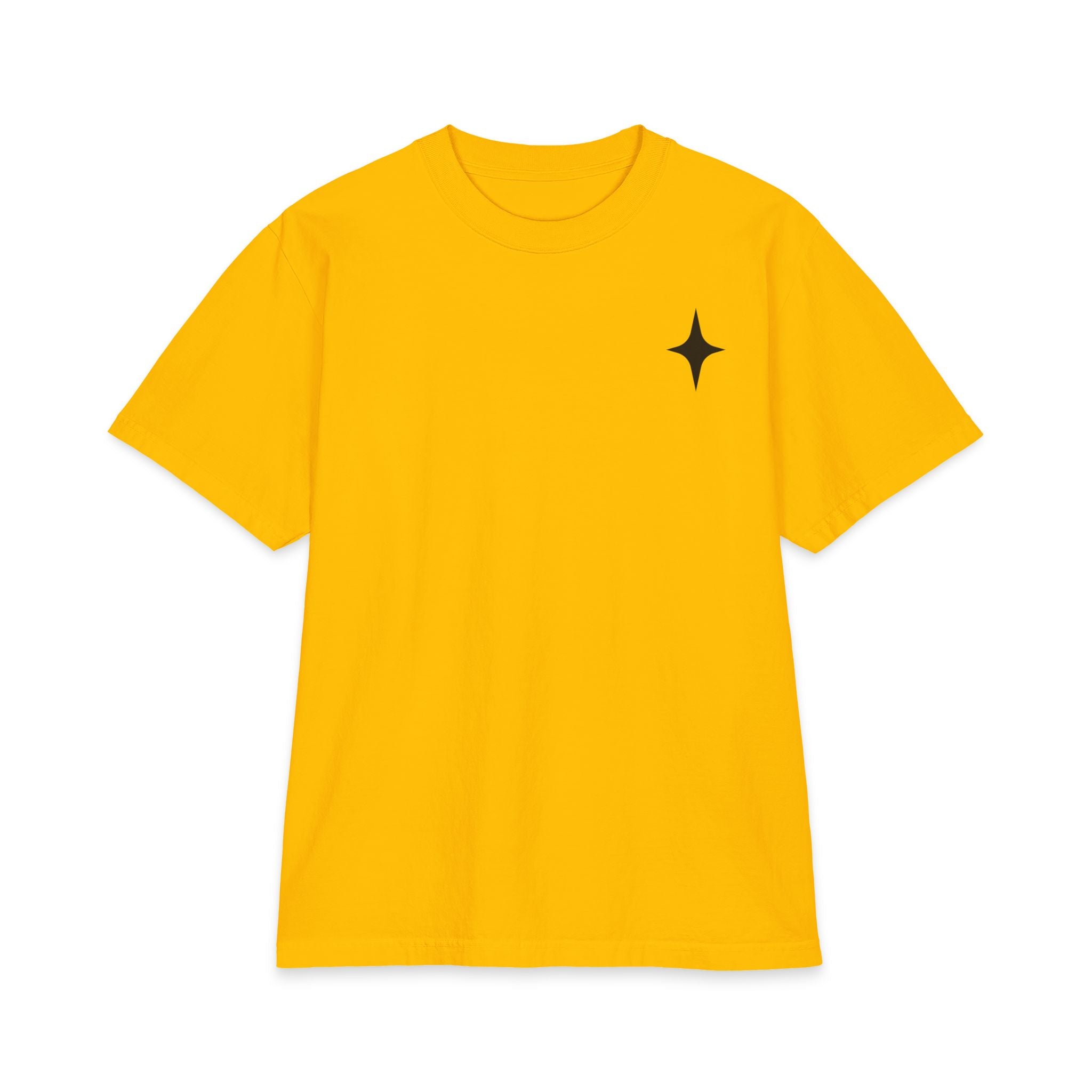 TEE SHIRT TAKE THE RISK