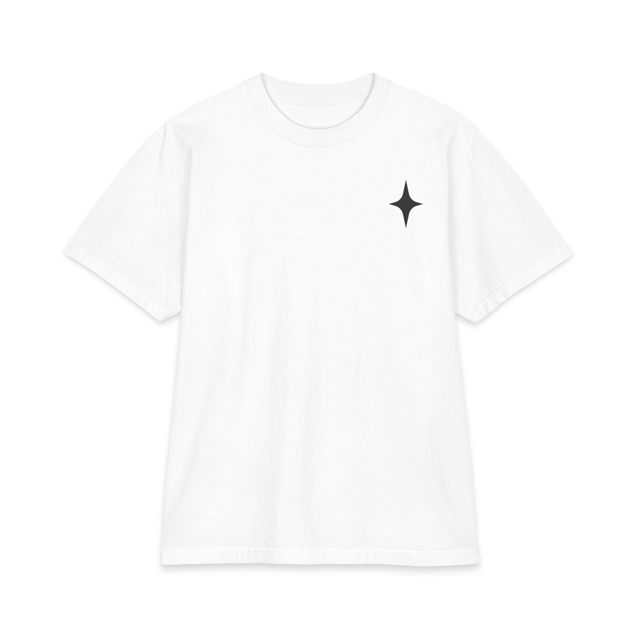 TEE SHIRT TAKE THE RISK