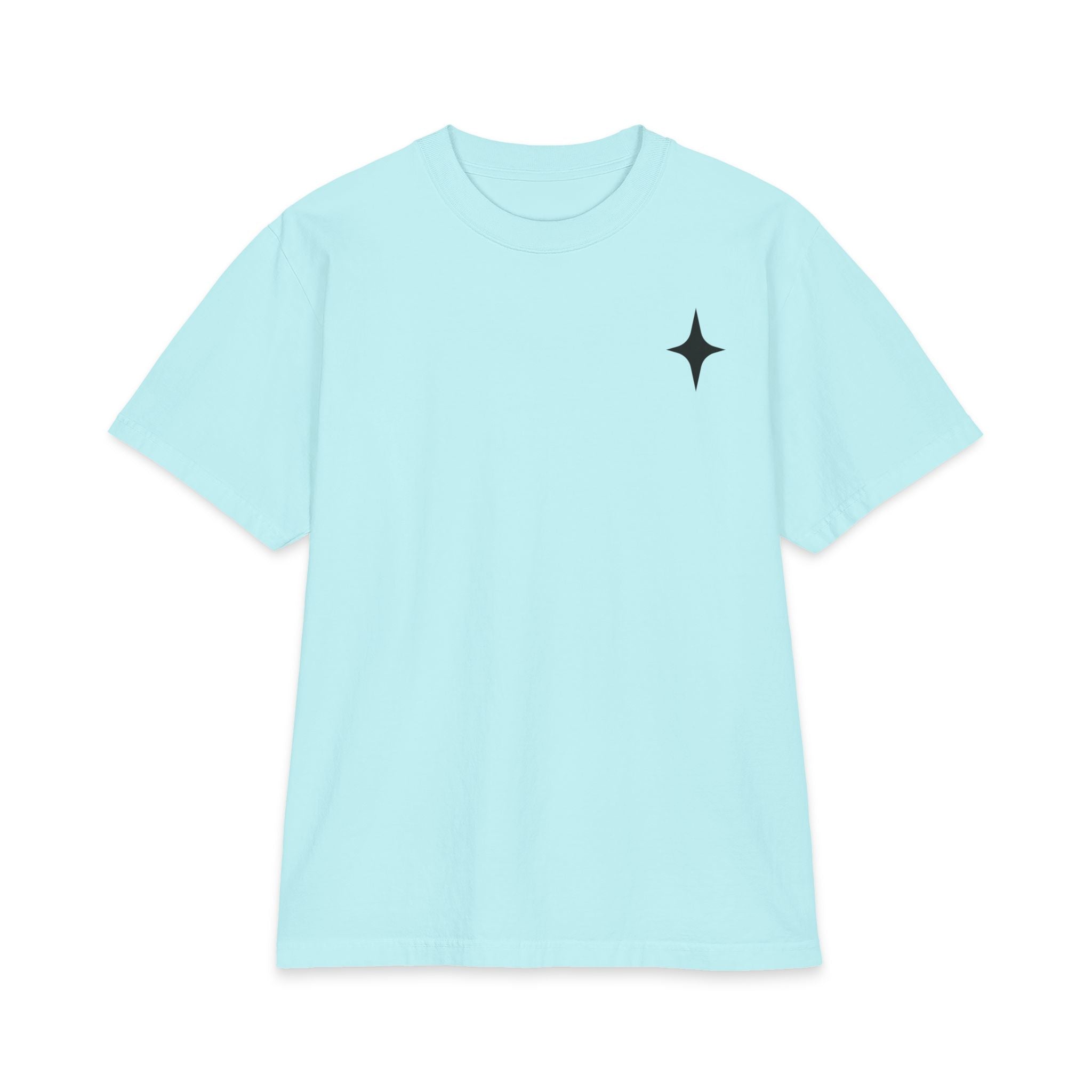 TEE SHIRT TAKE THE RISK