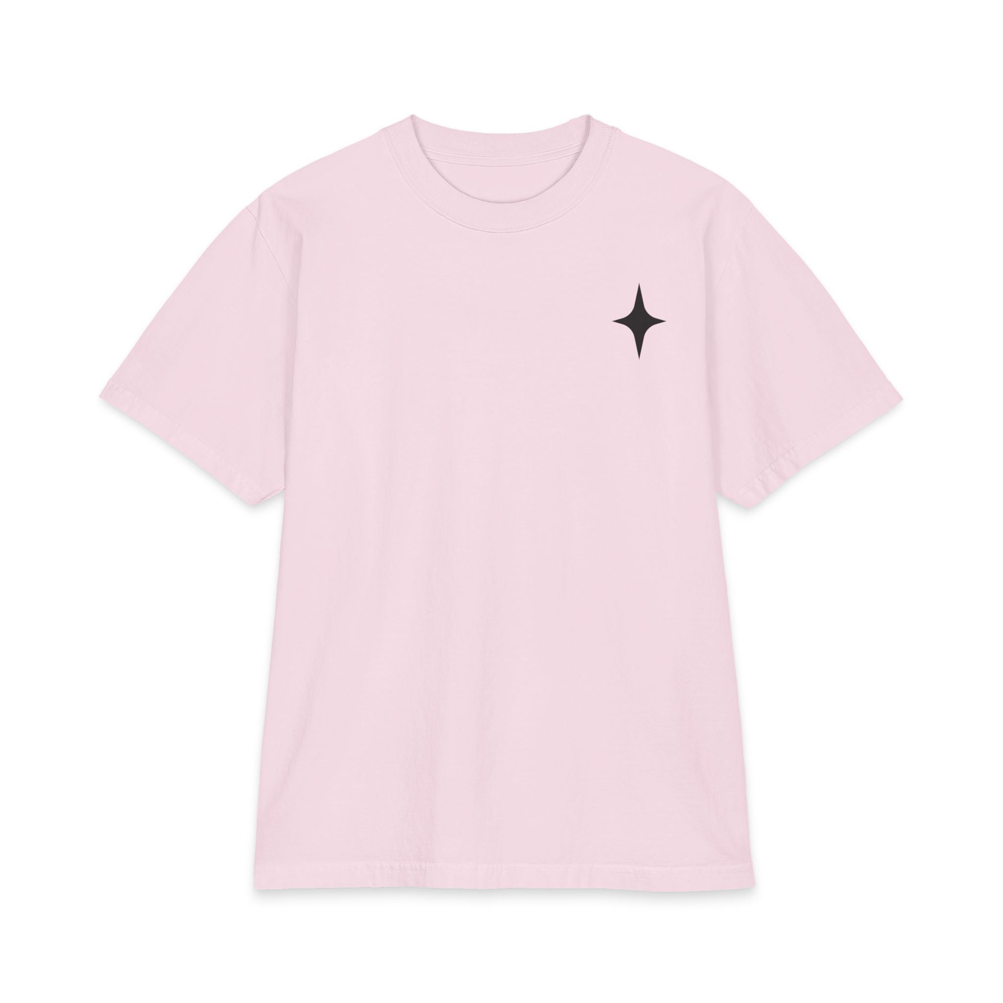 TEE SHIRT TAKE THE RISK