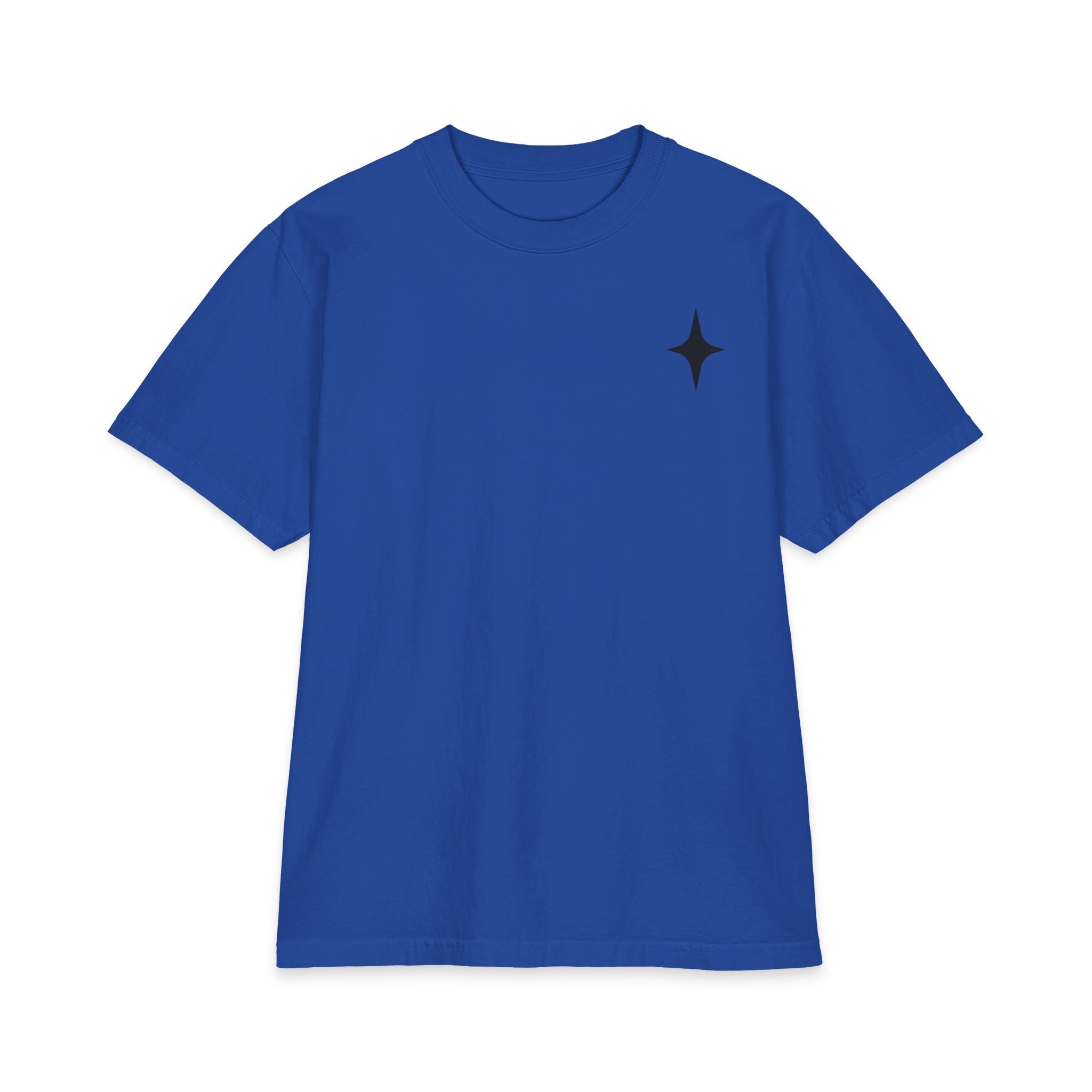 TEE SHIRT TAKE THE RISK